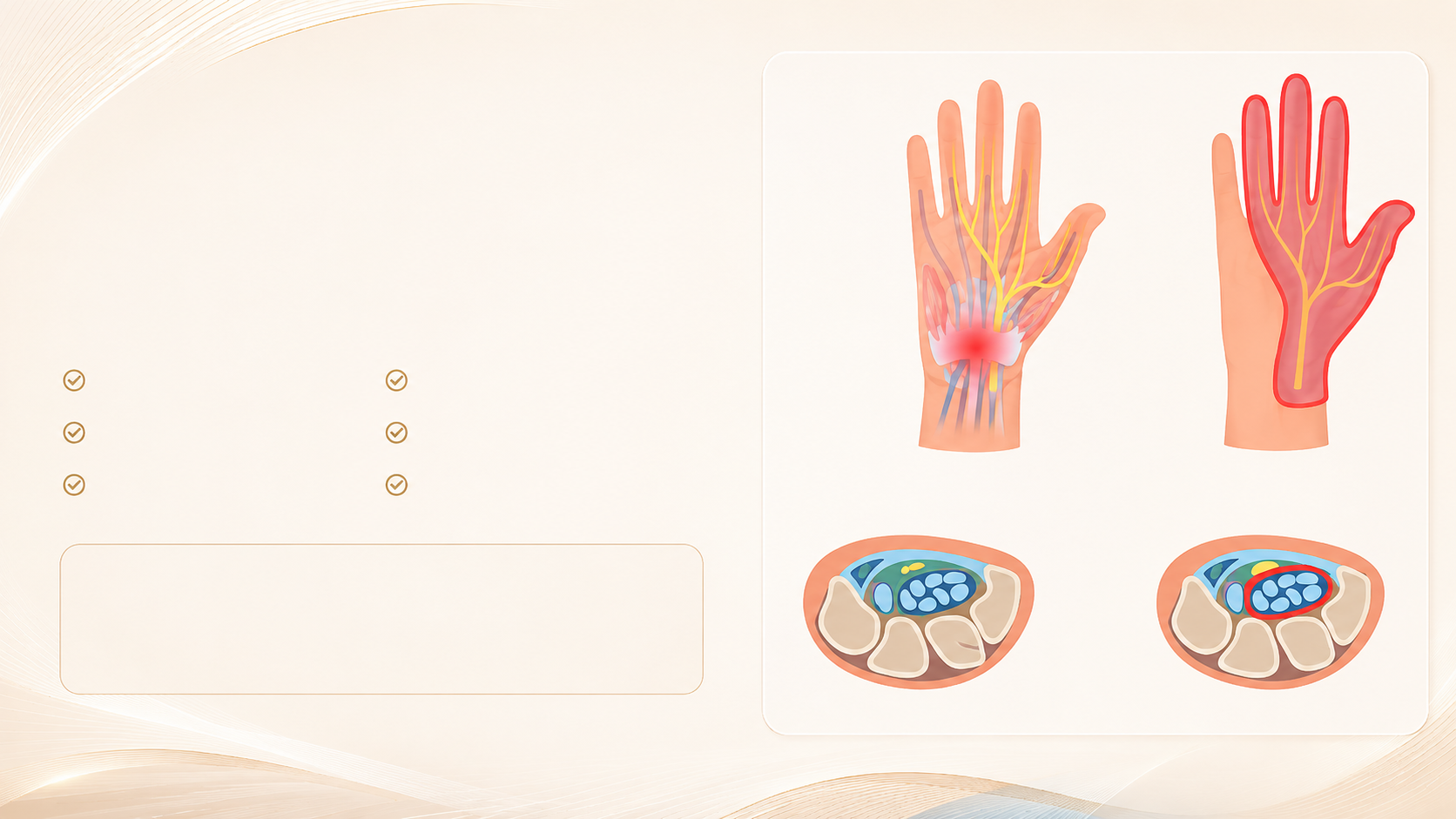 Anatomie des Karpaltunnels